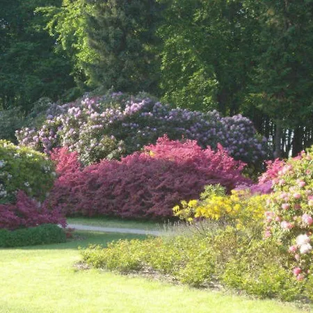 Haus Heidelbeere 26 Граль-Мюриц